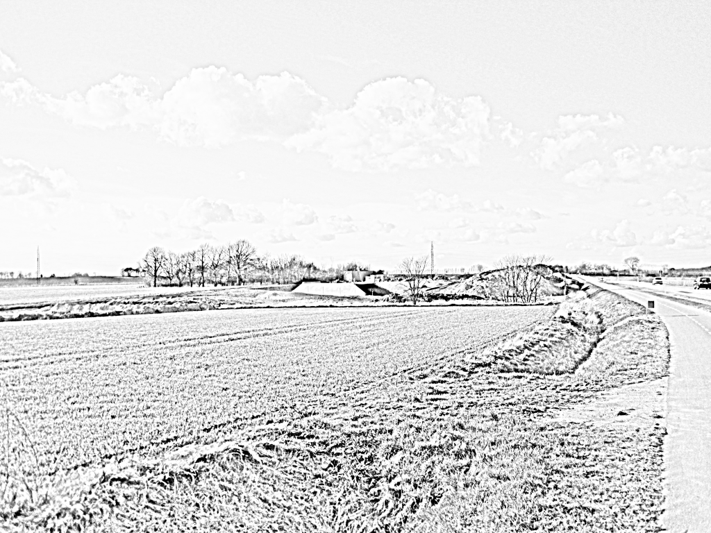 Øget digitalisering i den offentlige&nbsp;sektor